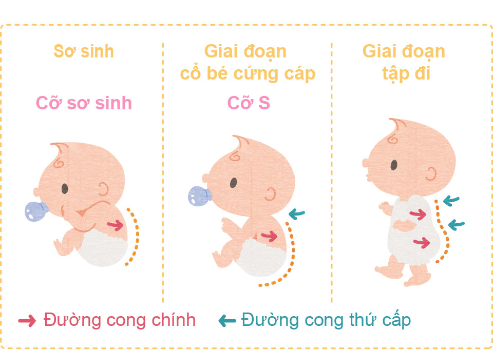 T&atilde; Moony Air Fit giống như quần l&oacute;t cho b&eacute; vậy