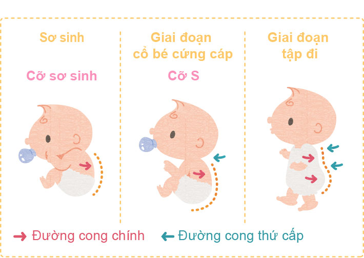 T&atilde; Moony Air Fit giống như quần l&oacute;t cho b&eacute; vậy