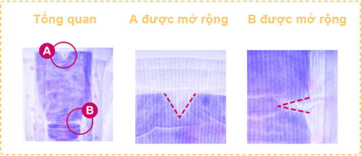 Đặc điểm cấu tr&uacute;c Air Fit