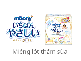 Miếng l&oacute;t thấm sữa