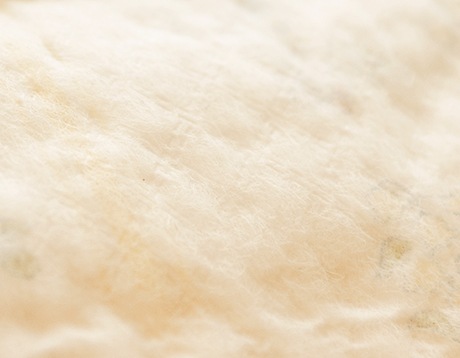 Ph&iacute;a b&ecirc;n ngo&agrave;i t&atilde; d&aacute;n Moony size L