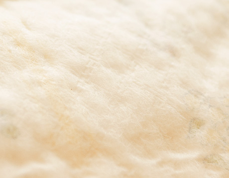 Ph&iacute;a b&ecirc;n ngo&agrave;i t&atilde; d&aacute;n Moony size M