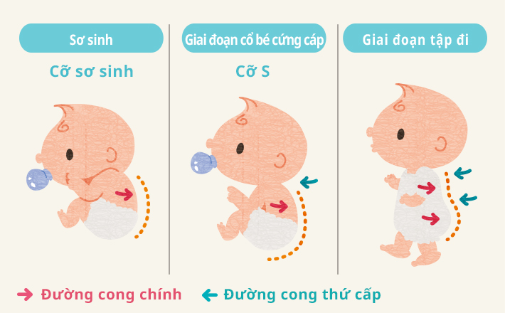 H&igrave;nh dạng tự nhi&ecirc;n cơ thể b&eacute; c&oacute; dạng tr&ograve;n - sp