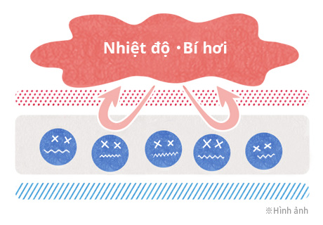 Sản phẩm kh&ocirc;ng c&oacute; bề mặt th&ocirc;ng kh&iacute; gấp 10 lần