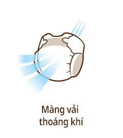 M&agrave;ng vải tho&aacute;ng kh&iacute;